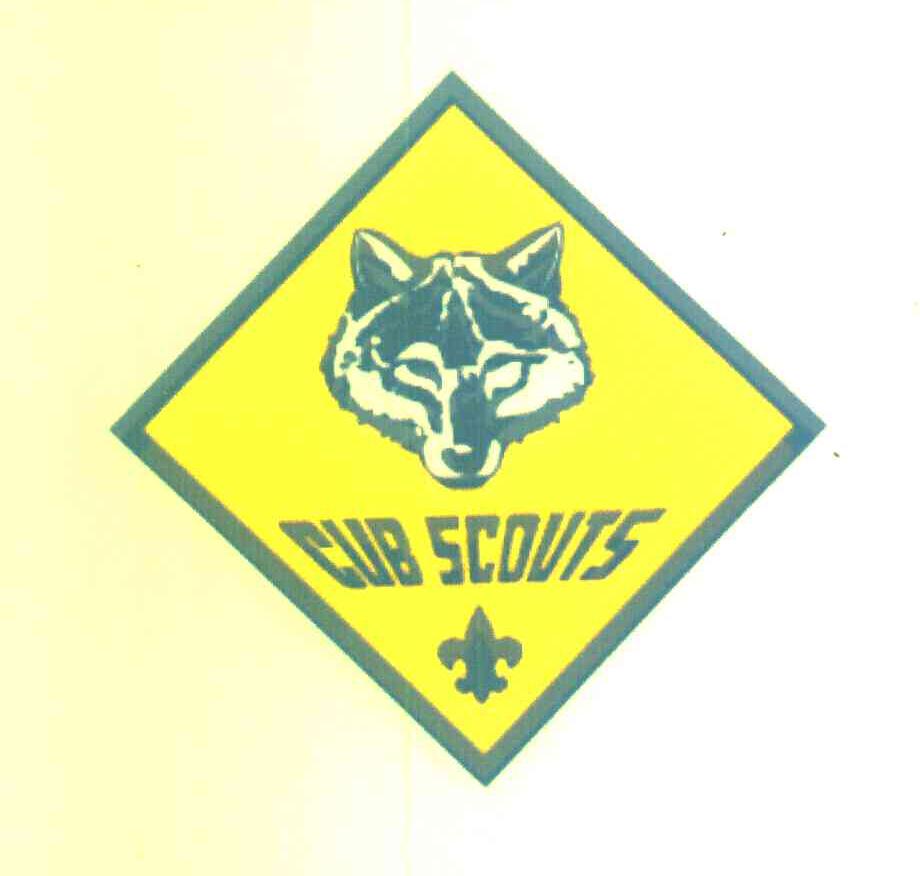CUB SCOUTS