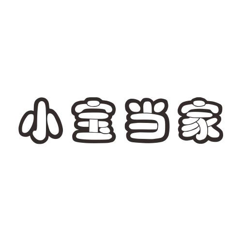 小宝当家