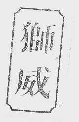 狮威