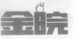 金皖