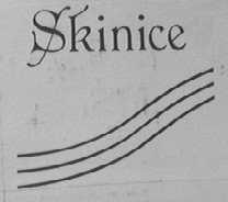 SKINICE