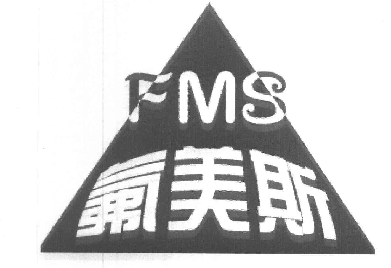 氟美斯 FMS