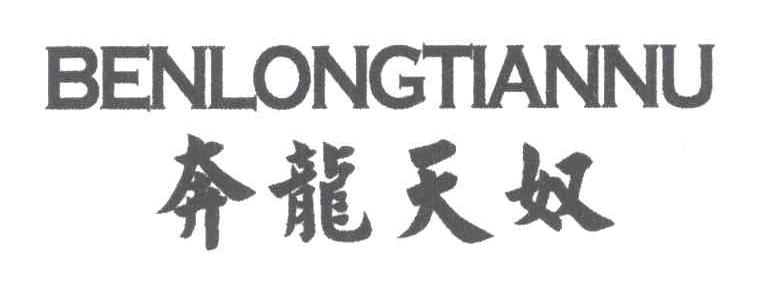 奔龙天奴