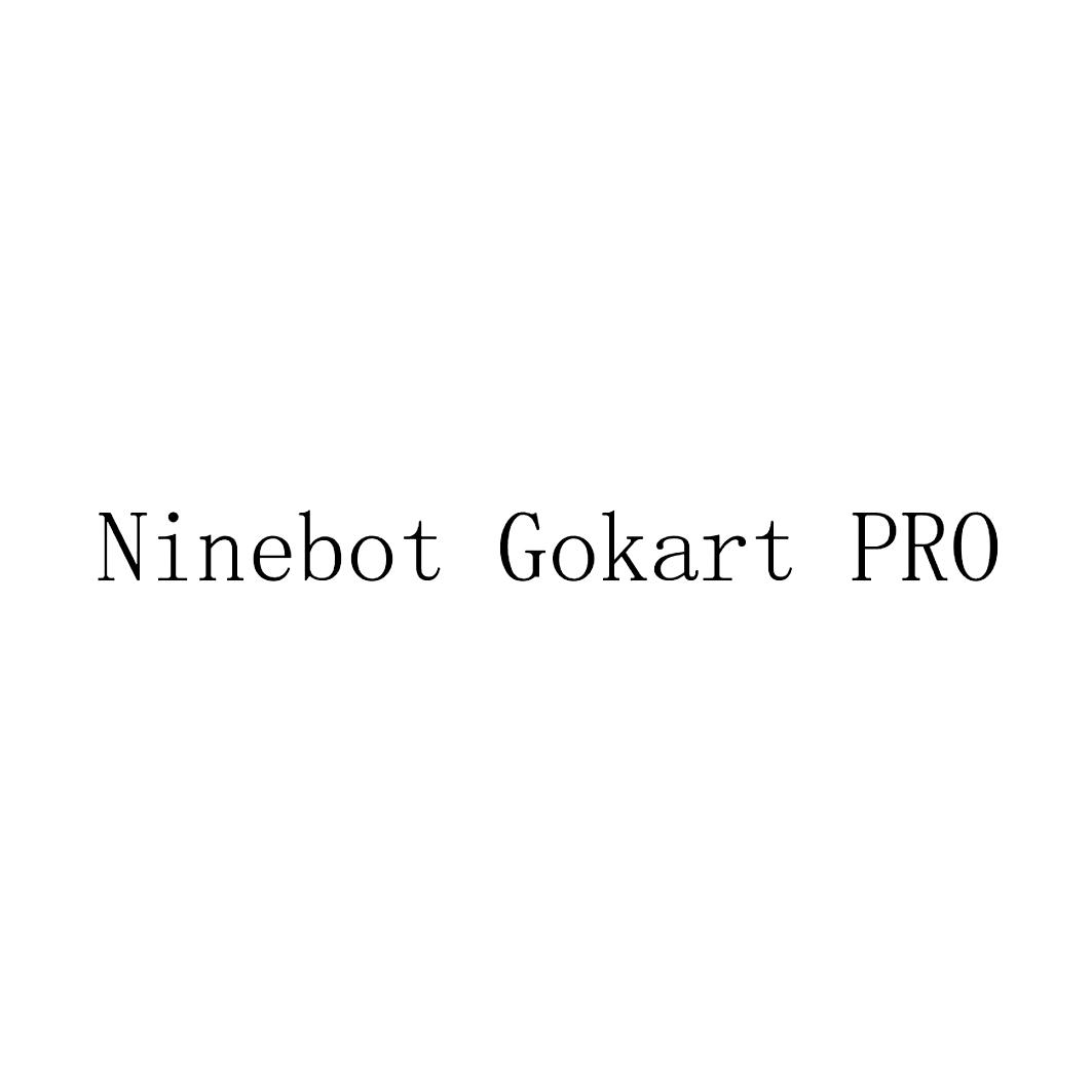 NINEBOT GOKART PRO