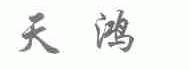天鸿