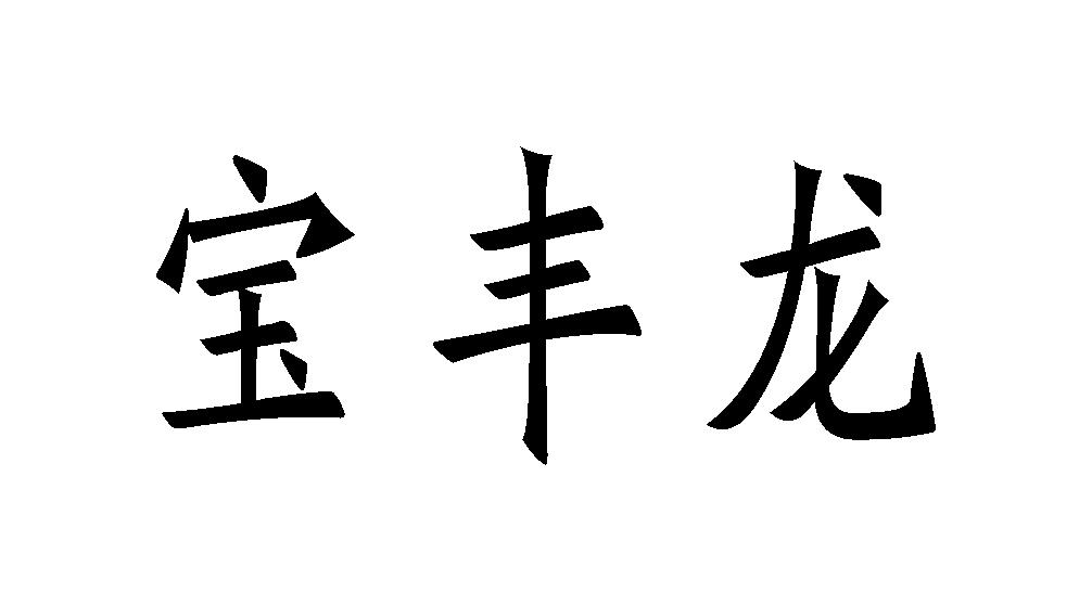 宝丰龙