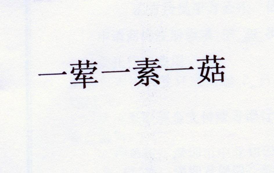 一浑一素一菇