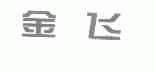 金飞