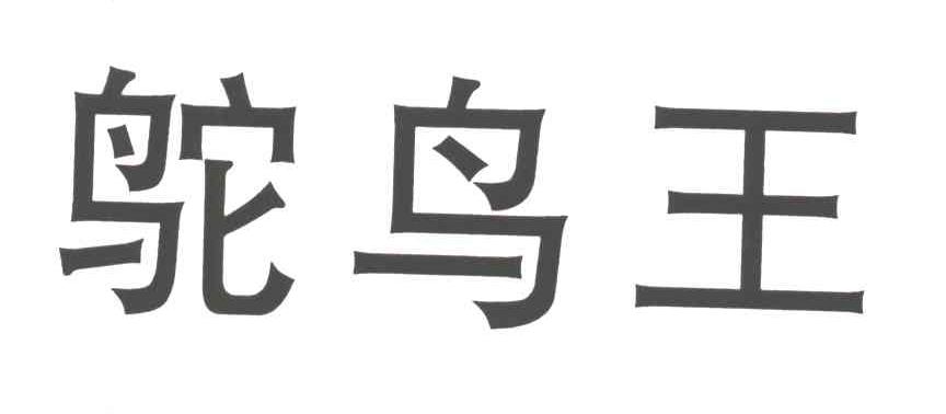 鸵鸟王
