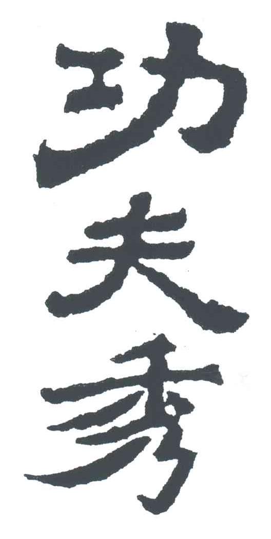 功夫秀;