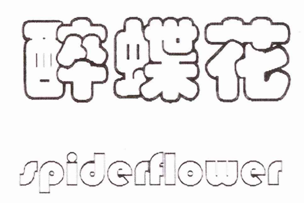 醉蝶花 SPIDERFLOWER