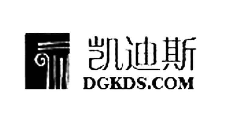 凯迪斯 DGKDS.COM