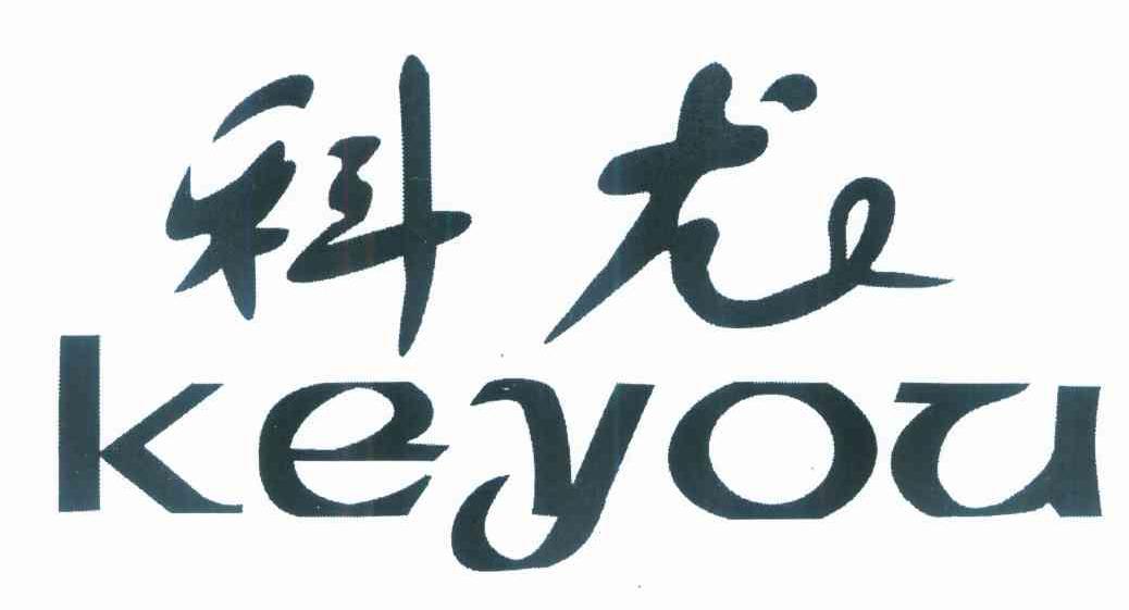科龙 KEYOU