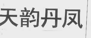 天韵丹凤