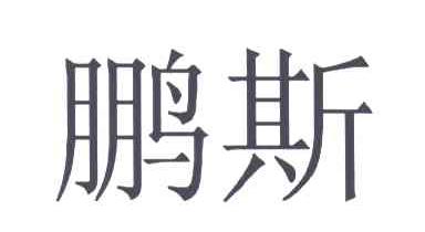 鹏斯