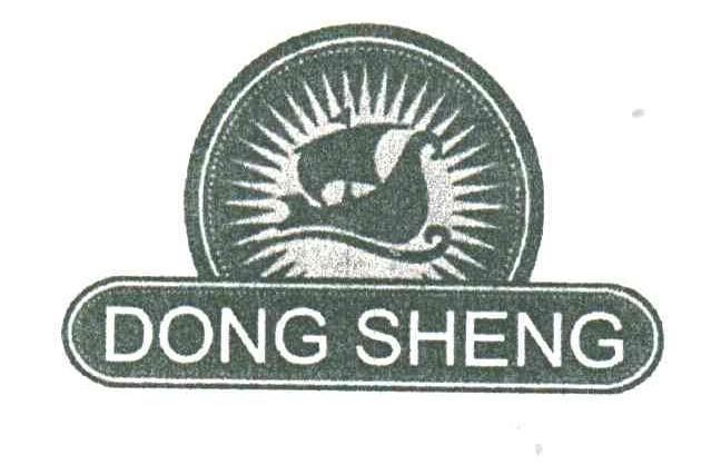 DONG SHENG
