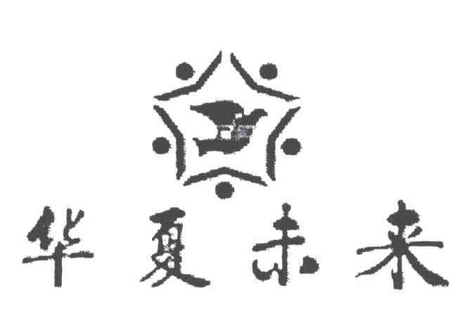 华夏未来