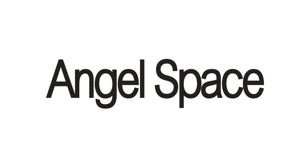 ANGEL SPACE