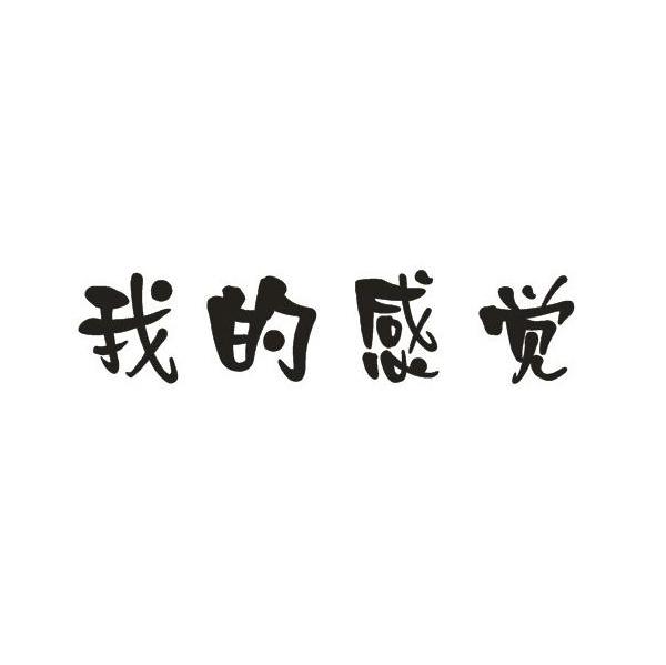 我的感觉