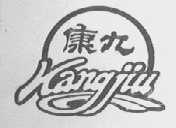 康九