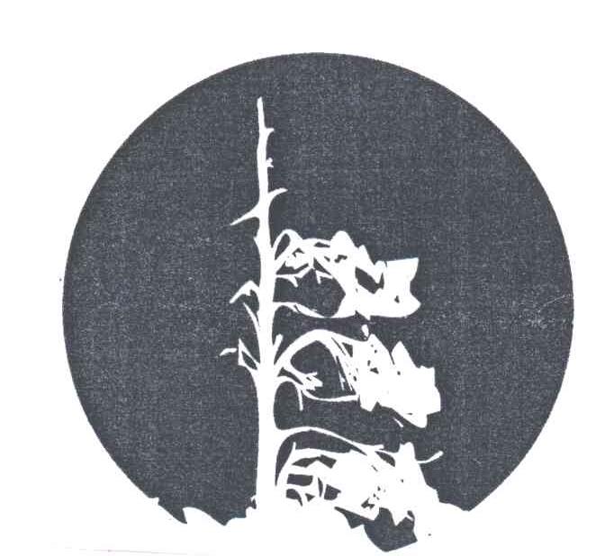 图形