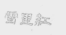 雪里红