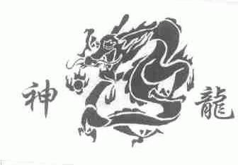 神龙