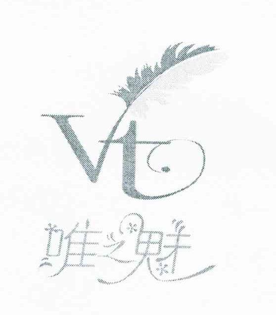 唯之魅 VT