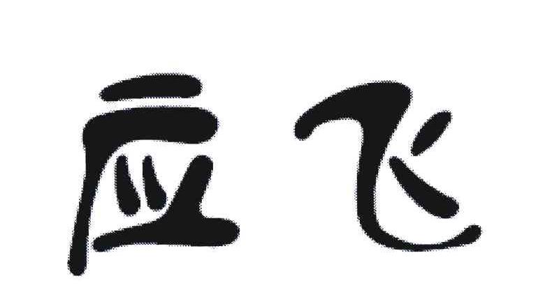 应飞