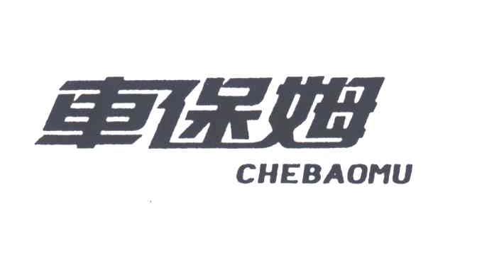 车保姆