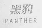 黑豹    PANTHER