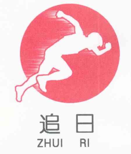 追日