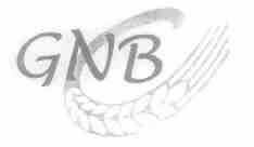 GNB