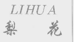 梨花