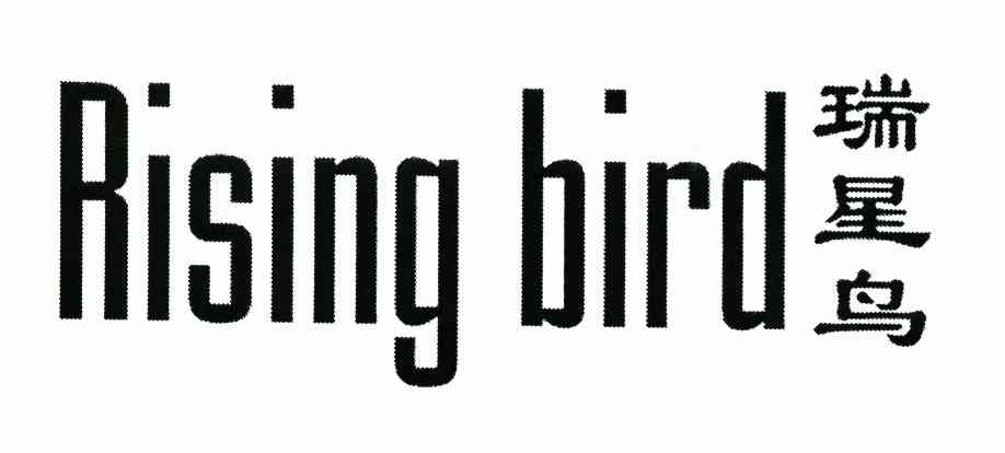瑞星鸟 RISING BIRD