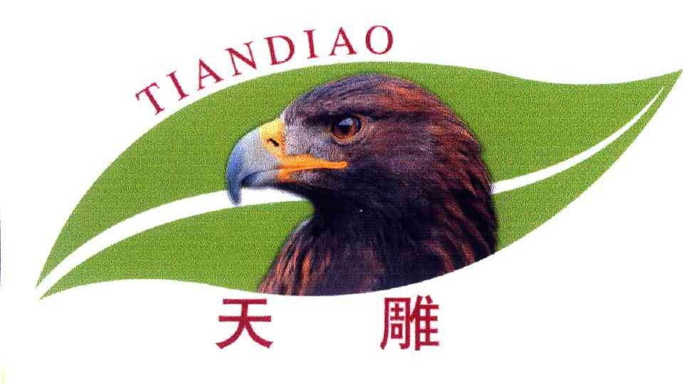 天雕