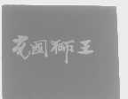 充国狮王
