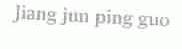 JIANG JUN PING GUO