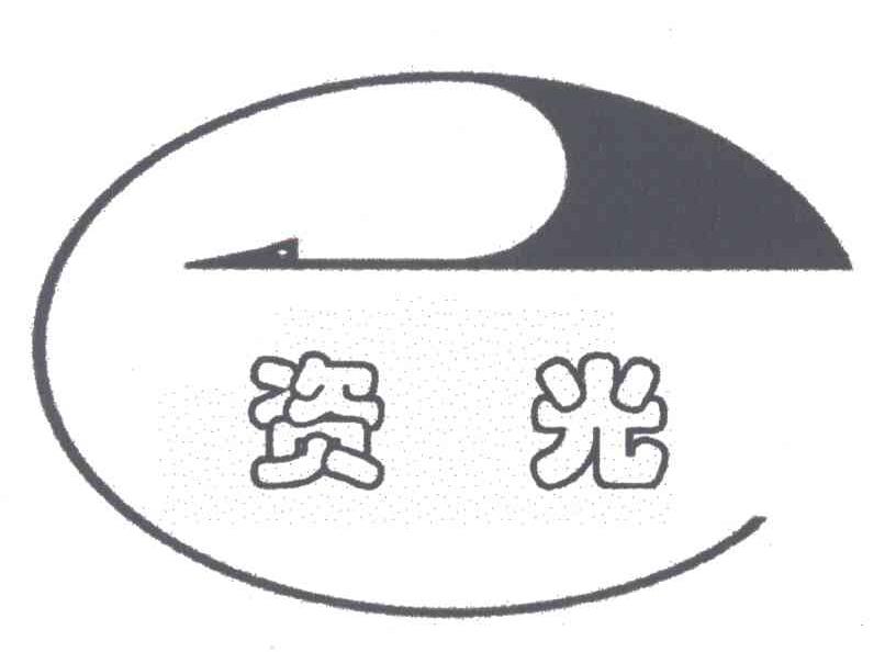 资光