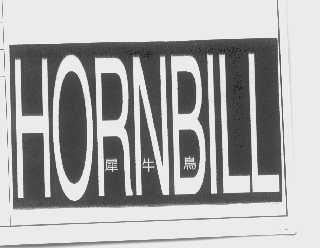 犀牛鸟   HORNBILL