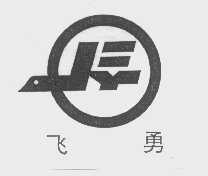 飞勇
