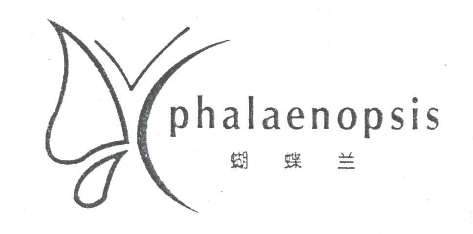 蝴蝶兰PHALAENOPSIS及图形