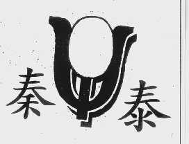秦泰