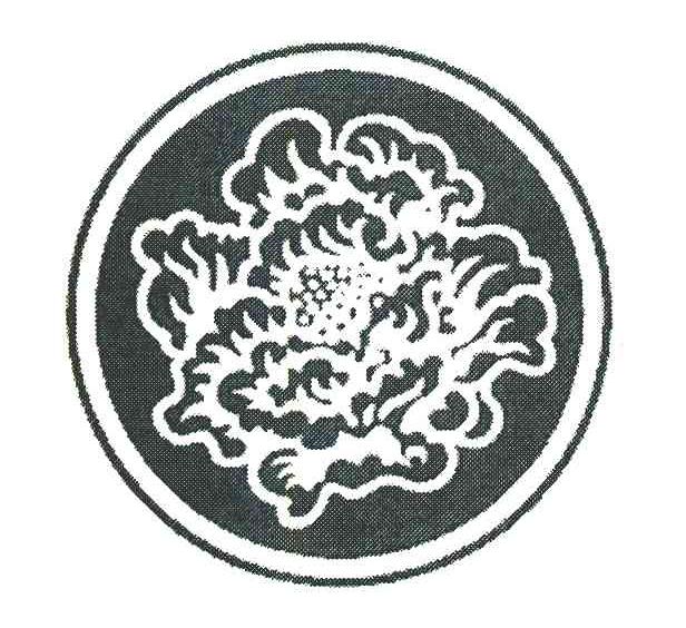 图形