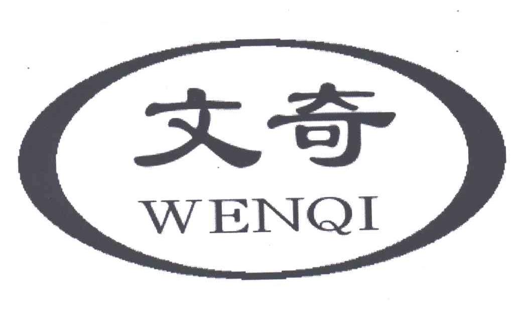 文奇;WEN QI