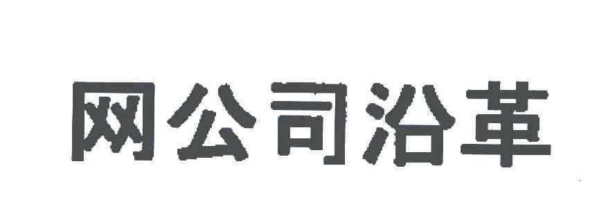 网公司沿革