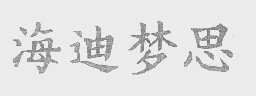 海迪梦思