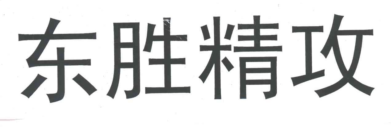东胜精攻