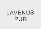 LAVENUS PUR