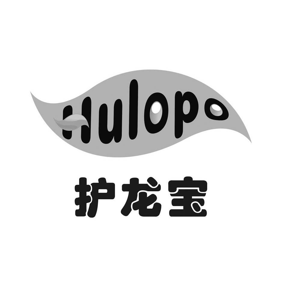 护龙宝 HULOPO